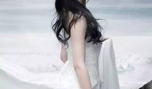 媒体爆料刘亦菲视频下载,独家揭秘幕后真相