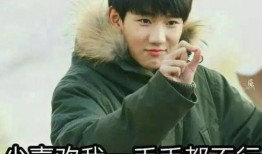 吃瓜娱乐圈cp粉是谁,揭秘“吃瓜”背后的神秘力量